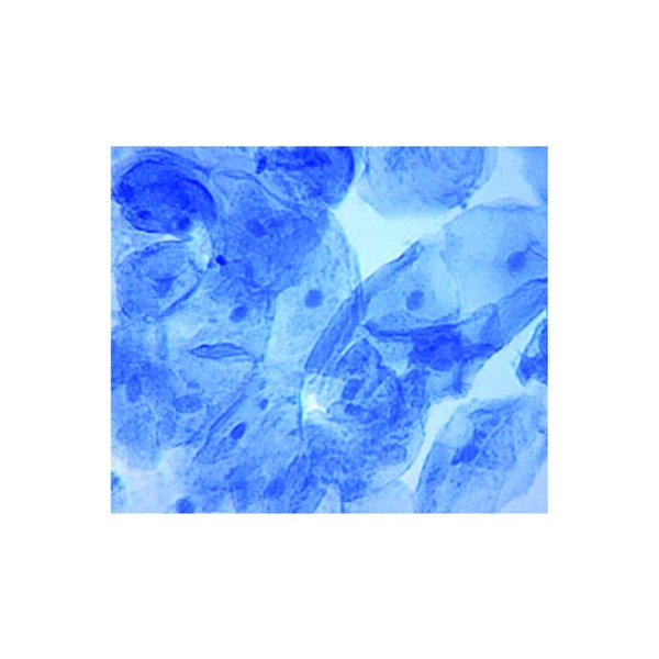 Methylene Blue